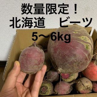 数量限定！北海道 江別産 ビーツ 5kg〜6kg(野菜)