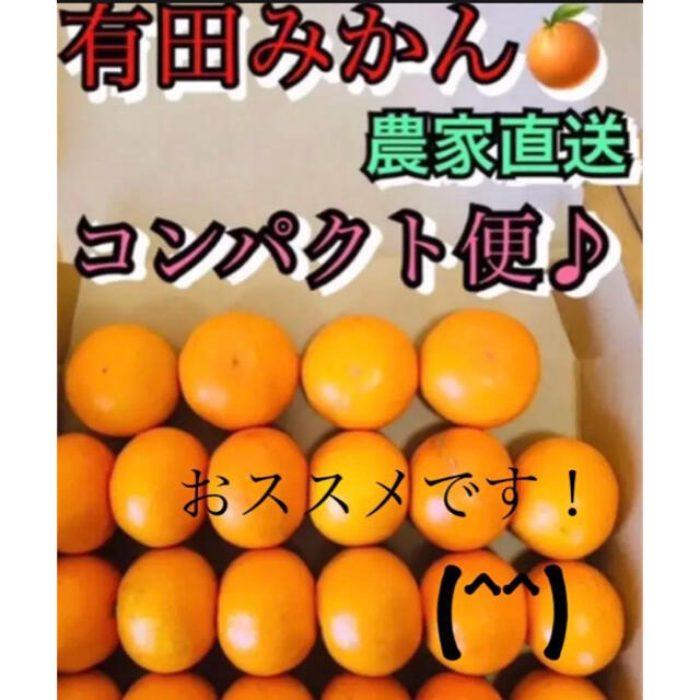 和歌山　有田みかん　新鮮コンパクト便♪ 食品/飲料/酒の食品(フルーツ)の商品写真