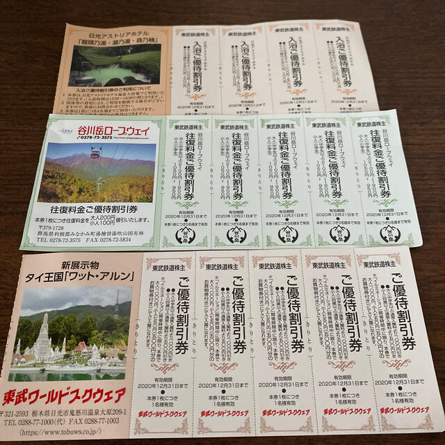 日光東武ワールドスクウェア割引セット チケットの施設利用券(遊園地/テーマパーク)の商品写真