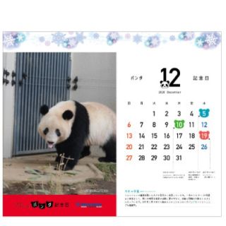 上野　松坂屋　シャンシャン　クリアファイル　上野動物園　パンダ　12月(クリアファイル)