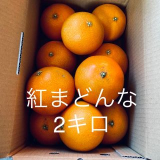 もうすぐ終了!! 紅まどんな 愛媛県宇和島産 2キロ(フルーツ)