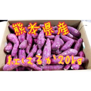 熊本県産紅はるか20kg(野菜)