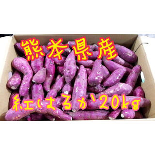 熊本県産紅はるか20kg(野菜)