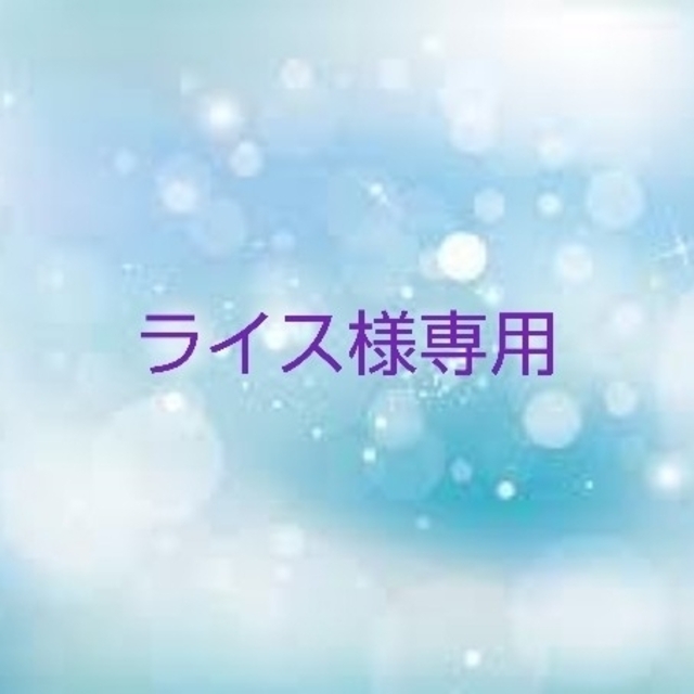 ライス様専用❤️No.114.115インナーマスク☆大きめ2枚 ハンドメイドのハンドメイド その他(その他)の商品写真