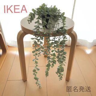 イケア(IKEA)の【新品】IKEA フェイクグリーン（ユーカリ）☆(その他)