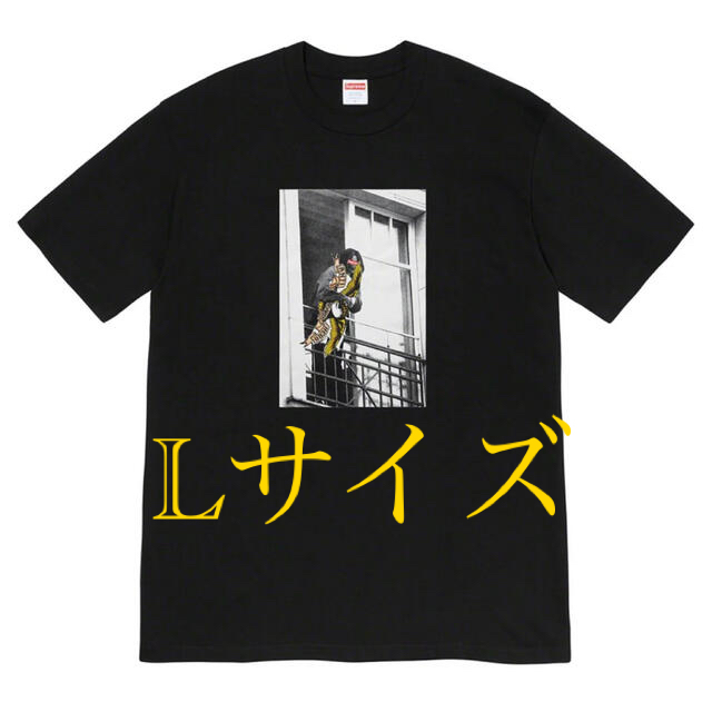 Supreme(シュプリーム)のSupreme ANTIHERO Balcony Tee サイズ　L メンズのトップス(Tシャツ/カットソー(半袖/袖なし))の商品写真