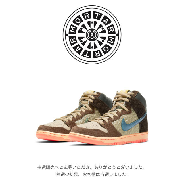 NIKE(ナイキ)のNIKE SB DUNK HIGH PRO QS CONCEPTS メンズの靴/シューズ(スニーカー)の商品写真