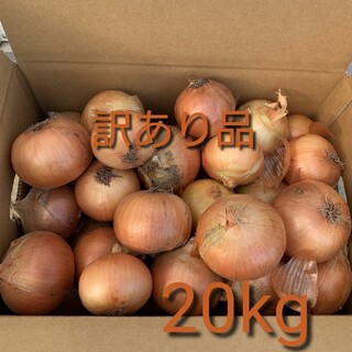 北海道産玉ねぎ訳あり20kg(野菜)