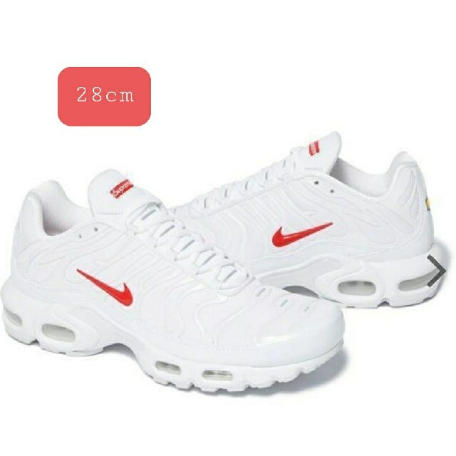 supreme airmax plus 28cm