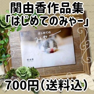 【関由香作品集『はじめてのみゃー』】中古・送料込(アート/エンタメ)