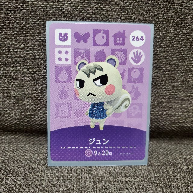 あつまれどうぶつの森　amiibo ジュン