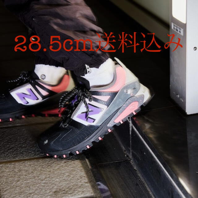 New Balance(ニューバランス)のニューバランス　アトモス　ピジョン　28.5cm メンズの靴/シューズ(スニーカー)の商品写真