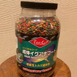 イグアナフード(爬虫類/両生類用品)