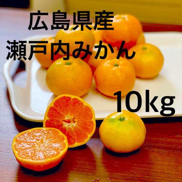 広島県産　みかん　豊島　10kg 食品/飲料/酒の食品(フルーツ)の商品写真