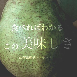 ・数量限定・お得!!『送料無料』山形県産/訳あり/ラ・フランス/5㌔(フルーツ)