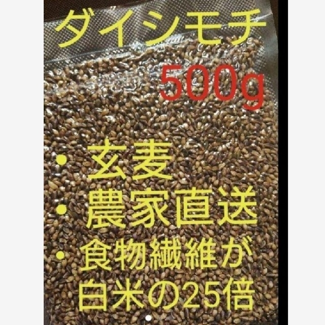 ダイシモチ 玄麦 食品/飲料/酒の食品(米/穀物)の商品写真