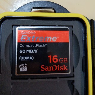 サンディスク(SanDisk)のsandisk CF カード　16GB(その他)