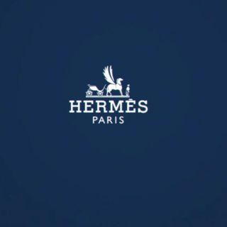 エルメス(Hermes)の専用です②【未使用】エルメス　HERMES ニットチュニック(ひざ丈ワンピース)