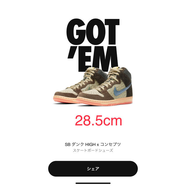 【28.5cm】NIKE DUNK ナイキ ダンク コンセプツサイズ285cm