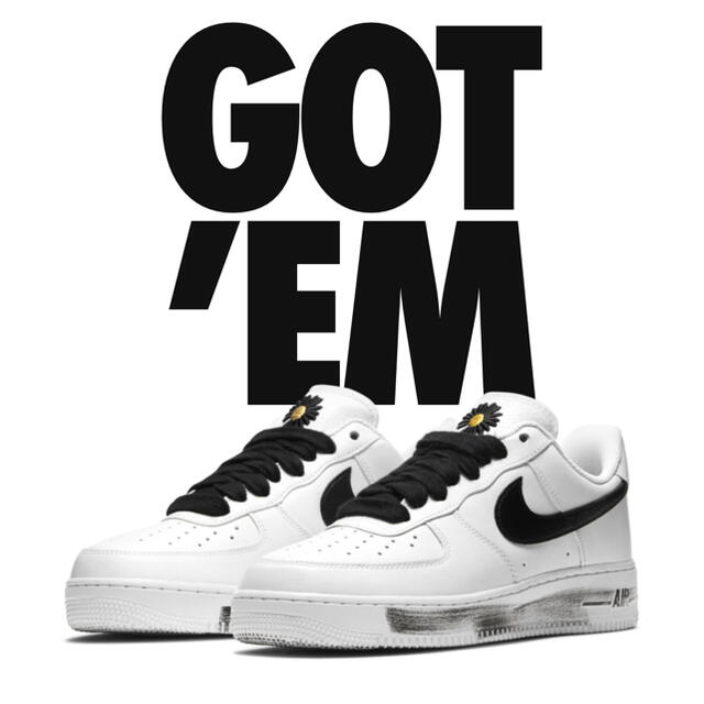 Nike Air Force 1 GDパラノイズ　28 2