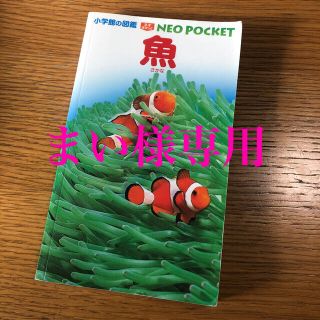 ショウガクカン(小学館)の【まい様専用】NEO POCKET 小学館の図鑑 魚・海辺・水辺 3冊セット(絵本/児童書)