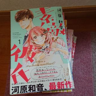 シュウエイシャ(集英社)の河原和音＊素敵な彼氏 1～14巻(完結)(全巻セット)