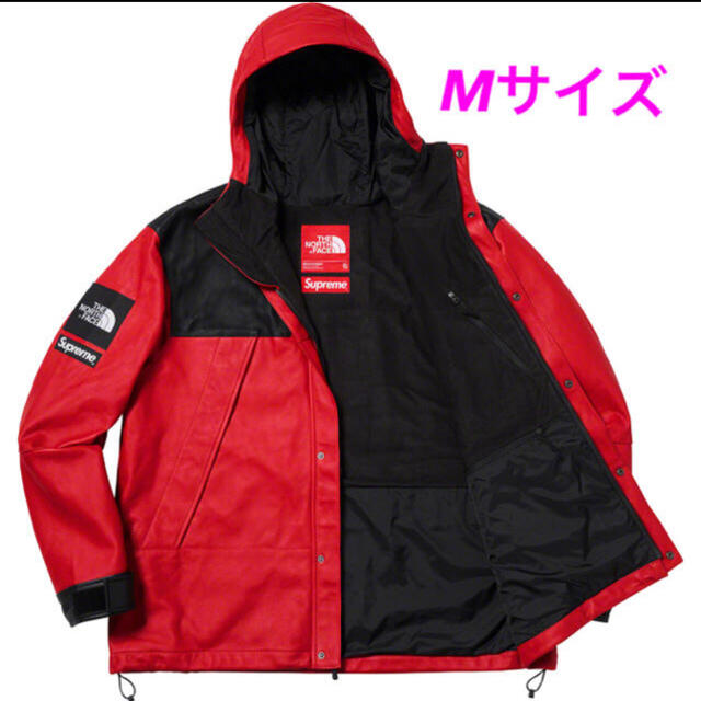 Supreme - 新品　The North Face Leather Mountain Parka