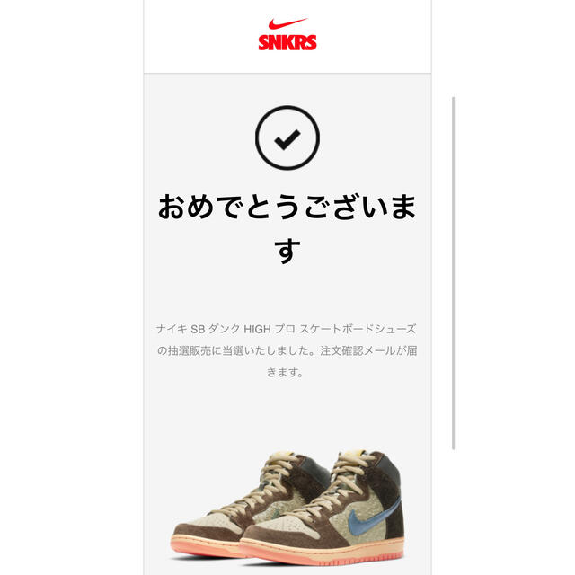 SB DUNK High × concepts “DUCK”