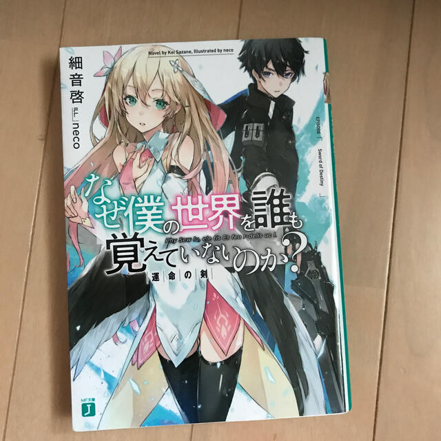 なぜ僕の世界を誰も覚えていないのか の通販 By Kano S Shop ラクマ なぜ僕の世界を誰も覚えていないのか の通販 By Kano S Shop ラクマ