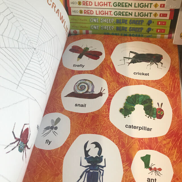 音声本　Eric Carle’s Book of Many Things 辞書  エンタメ/ホビーの本(絵本/児童書)の商品写真