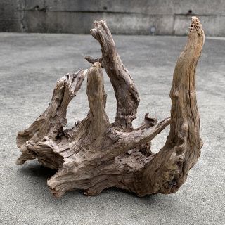 流木 18(各種パーツ)