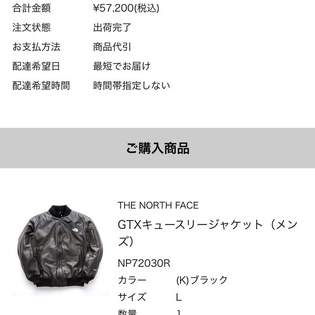 THE NORTH FACE(ザノースフェイス)のNP72030R　GTX Q3 Jacket キュースリー ノースフェイス メンズのジャケット/アウター(ブルゾン)の商品写真