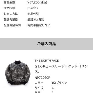 THE NORTH FACE - NP72030R GTX Q3 Jacket キュースリー ノース