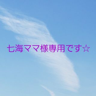 七海ママ様専用です☆(その他)