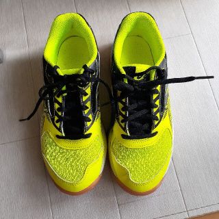 アシックス(asics)のアシックス asics 室内用シューズ 22.0 バスケ バレー ドッジボール(バレーボール)