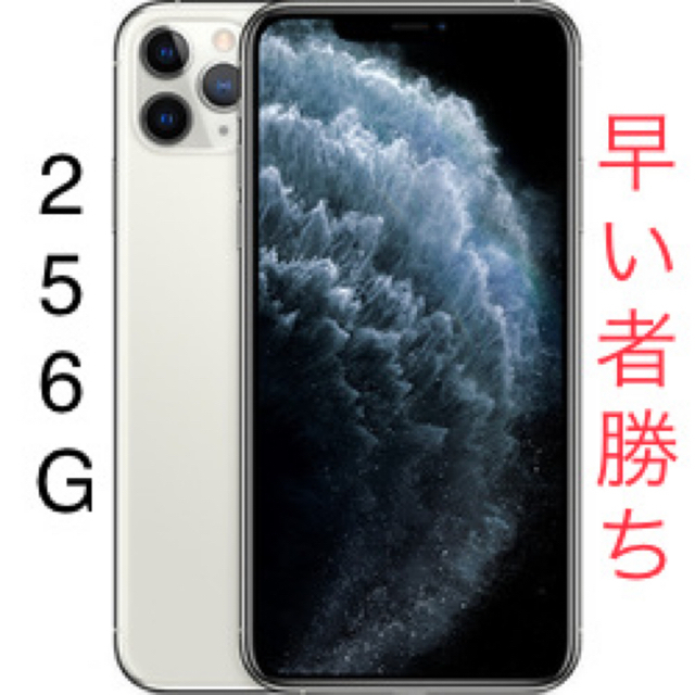 iPhone11 pro max 256g