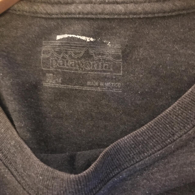 patagonia(パタゴニア)のpatagonia プリントTシャツ キッズ/ベビー/マタニティのキッズ服男の子用(90cm~)(Tシャツ/カットソー)の商品写真