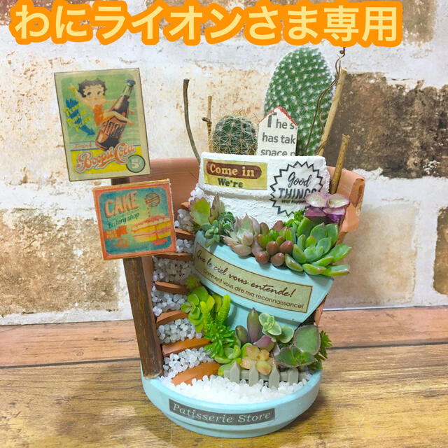 多肉植物の寄せ植え　丘の上のカフェバー2号店 ハンドメイドのフラワー/ガーデン(その他)の商品写真