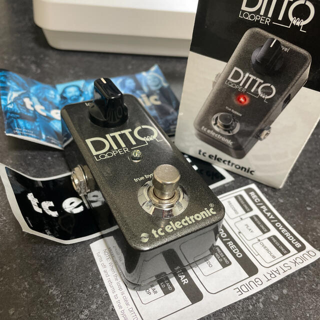 【美品】 DITTO LOOPER