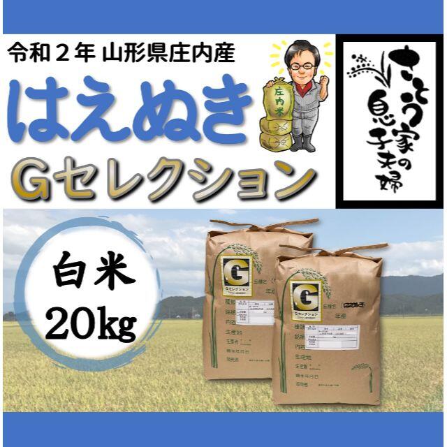 令和２年新米　はえぬき　山形県庄内産　白米２０ｋｇ　Ｇセレクション　米/穀物