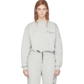 アレキサンダーワン(Alexander Wang)のAlexander wang 完売 スウェット(トレーナー/スウェット)