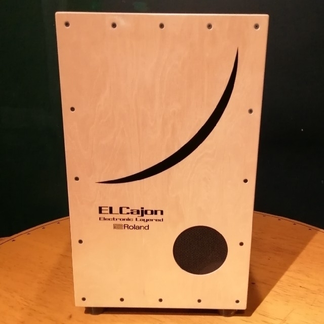 Roland(ローランド)の【さかなクン様　売約済】エレカホン：Roland EC-10 楽器の打楽器(パーカッション)の商品写真