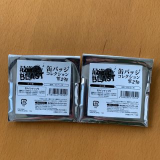 新品未開封 最遊記BLAST 缶バッジコレクション第2弾 2個(その他)