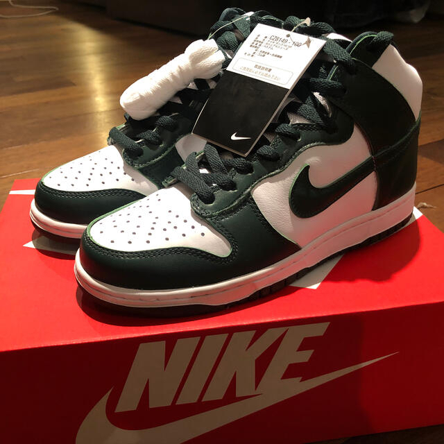 NIKE DUNK HIGH SP PRO GREEN