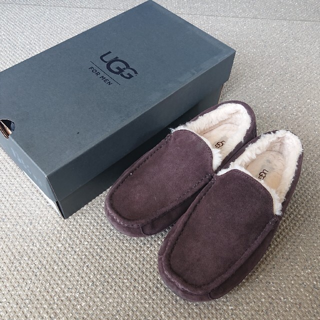 UGG アスコット 28cm エスプレッソ