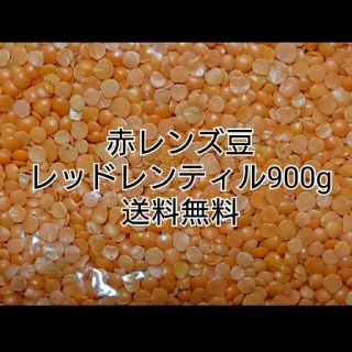 レッドレンティル900g/Red Lentil・赤レンズ豆・乾燥豆(米/穀物)