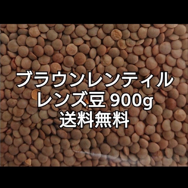 レンズ豆900g/Brown Lentil 乾燥豆 食品/飲料/酒の食品(米/穀物)の商品写真