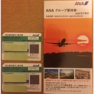 エーエヌエー(ゼンニッポンクウユ)(ANA(全日本空輸))のANA 株主優待券 2枚セット(その他)