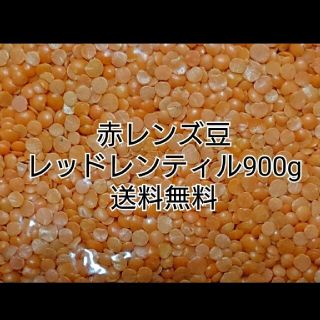 レッドレンティル900g/Red Lentil・赤レンズ豆・乾燥豆(米/穀物)