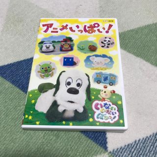 いないいないばぁ　アニメいっぱいDVD 中古(キッズ/ファミリー)